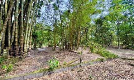 Terreno à venda na Avenida Marginal, 11464, Parque Real, Itanhaém