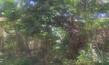Terreno à venda na Avenida Marginal, 11464, Jardim Suarão, Itanhaém
