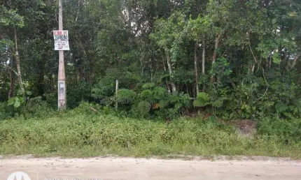 Terreno à venda em Balneário Marambaia, Itanhaém 
