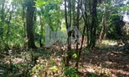 Terreno à venda no Jardim Coronel, Itanhaém 