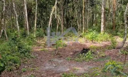 Chácara / sítio à venda no Parque Real, Itanhaém 