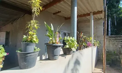 Chácara para Venda em Itanhaém, Parque Alvorada, 2 dormitórios, 2 suítes, 1 banheiro, 2 vagas
