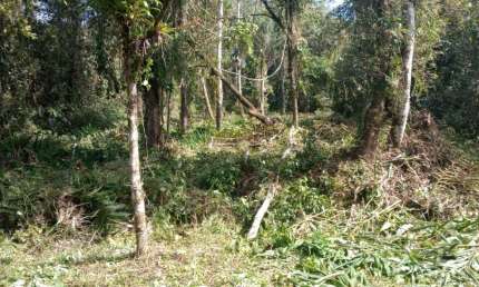 Chácara / sítio à venda no Jardim Coronel, Itanhaém 