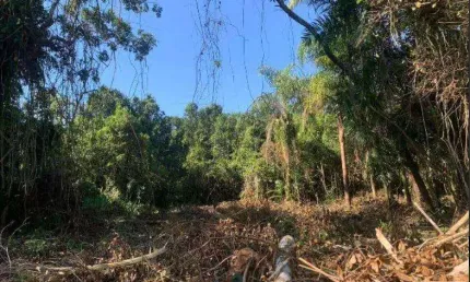 Terreno à venda no Balneário Gaivota, Itanhaém 