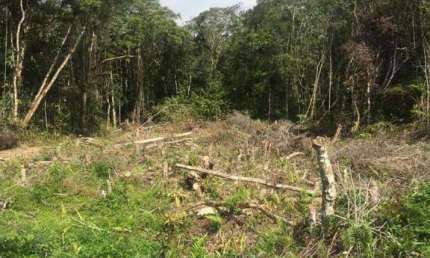 Terreno à venda em Indaiá, Itanhaém 