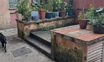 Apartamento para Venda em Itanhaém, Guapiranga, 2 dormitórios, 1 banheiro, 1 vaga