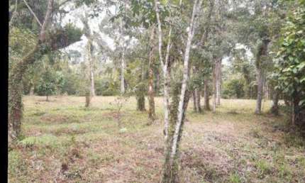 Terreno à venda no Parque Vergara, Itanhaém 