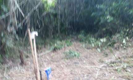 Terreno à venda no Bopiranga, Itanhaém 