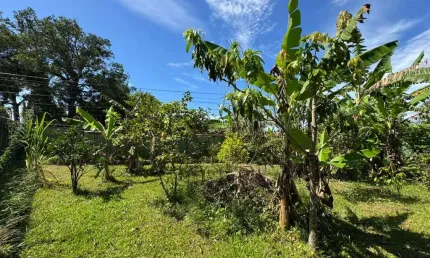 Terreno para venda em itanhaém, jardim das palmeiras
