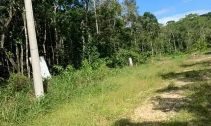 Terreno à venda no Massaguaçu, Caraguatatuba 