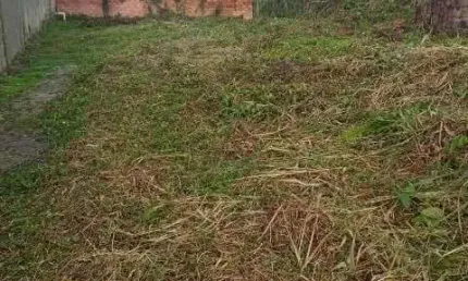 Terreno para Venda em Itanhaém, Jardim das Palmeiras