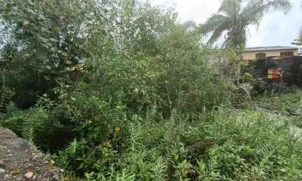 Terreno para Venda em Itanhaém, Jardim das Palmeiras