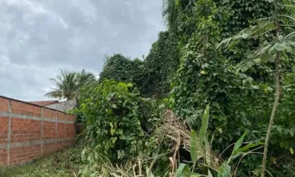 Terreno para venda em itanhaém, jardim das palmeiras