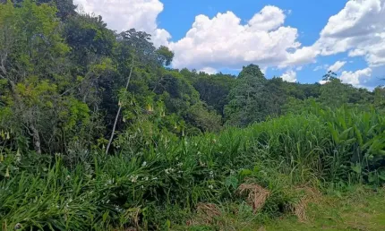 Terreno à venda no Balneário Beatriz, Itanhaém 