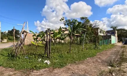 Terreno para Venda em Itanhaém, Jardim das Palmeiras