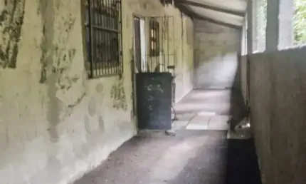 Chácara para Venda em Itanhaém, Jardim São Fernando, 2 dormitórios, 1 banheiro, 5 vagas