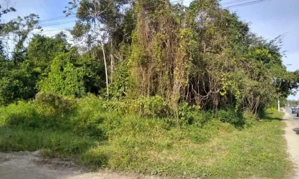 Terreno à venda no Jardim Coronel, Itanhaém 