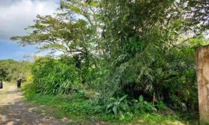 Terreno à venda no Jardim Tropical, Itanhaém 