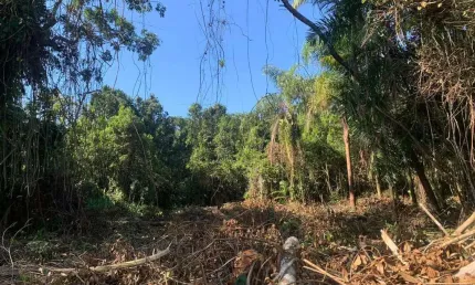 Terreno à venda no Balneário Gaivota, Itanhaém 