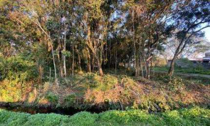 Terreno à venda no Balneário Gaivota, Itanhaém 