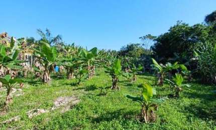 Terreno à venda na Ana Dias, Itariri 