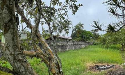 Terreno à venda na Chácaras Glória, Itanhaém 