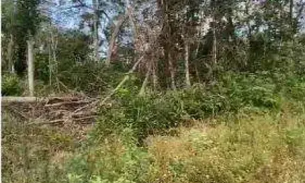 Terreno à venda no Jardim Coronel, Itanhaém 