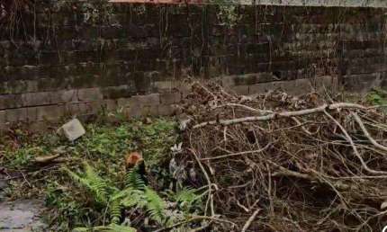 Terreno para Venda em Itanhaém, São Fernando, 1 dormitório, 1 banheiro