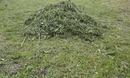 Terreno à venda no Balneário Gaivota, Itanhaém 