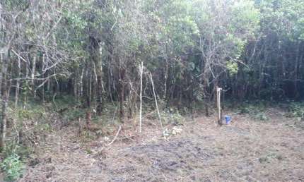 Terreno à venda no Bopiranga, Itanhaém 