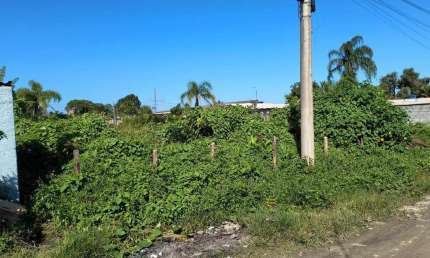 Terreno à venda no Balneário Gaivota, Itanhaém 