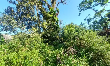 Terreno à venda no Jardim Coronel, Itanhaém 