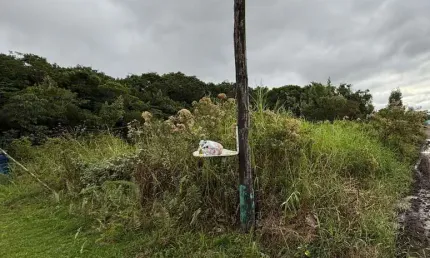 Terreno à venda no Balneário Tupy, Itanhaém 