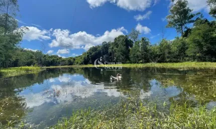 SÍTIO À VENDA EM NOVA PETRÓPOLIS/RS COM LAGO, Linha Olinda, Nova Petropolis - RS