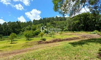 CHÁCARA À VENDA NO INTERIOR DE NOVA PETRÓPOLIS, Linha Pinhal Alto, Nova Petropolis - RS