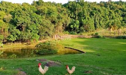 Chácara / sítio à venda na Estrada Nove Colônias, Pinhal Alto, Nova Petrópolis