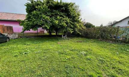 TERRENO PLANO NA VILA GERMÂNIA, Vila Germânia, Nova Petropolis - RS