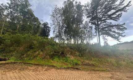 TERRENO COM ÓTIMA LOCALIZAÇÃO NA LINHA IMPERIAL, Linha Imperial, Nova Petropolis - RS