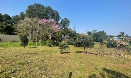 TERRENO GRANDE NO JURITI, Jurití, Nova Petropolis - RS