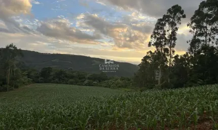 Chácara / sítio à venda na Vicente Preito, Pinhal Alto, Nova Petrópolis