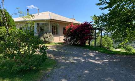 SITIO COM 2 CASAS MOBILIADAS E BELA VISTA, Linha Pinhal Alto, Nova Petropolis - RS