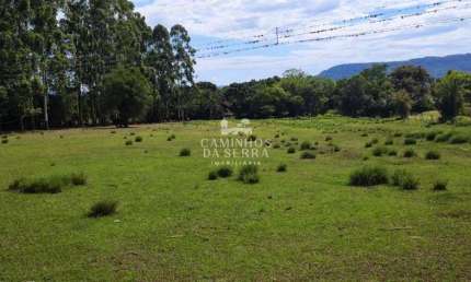 ÁREA DE TERRA À VENDA ENTRE NOVA PETRÓPOLIS E GRAMADO, Linha Araripe, Nova Petropolis - RS