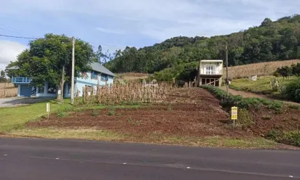 TERRENO À VENDA NA MARGEM DA VRS 235 , Linha Brasil, Nova Petropolis - RS
