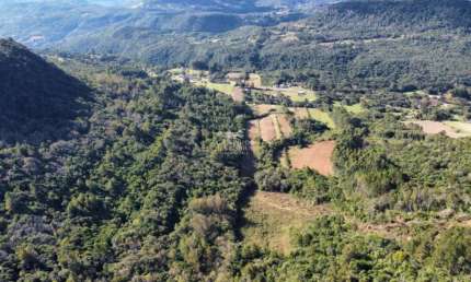 AREA RURAL - FRENTE PARA RS 235 PRÓXIMA A GRAMADO, Linha Araripe, Nova Petropolis - RS