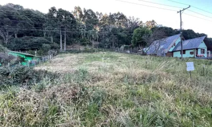 AMPLO TERRENO DE FRENTE À RS 235, Linha Imperial, Nova Petropolis - RS