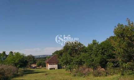 ÁREA À VENDA - RS 235- LINHA ARARIPE - NOVA PETRÓPOLIS/RS