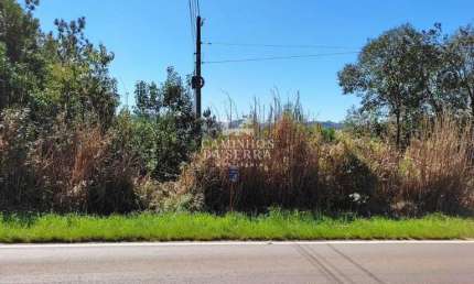ÁREA COM 10 HECTARES À VENDA, ENTRE NOVA PETRÓPOLIS E GRAMADO