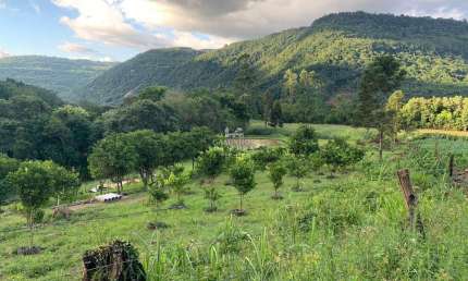 Apartamento à venda na Linha Riachuelo, Zona Rural, Nova Petrópolis