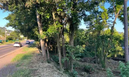 Terreno comercial à venda na Rs 235, Piá, Nova Petrópolis