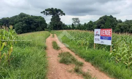 Área Rural para Venda em Campo Largo, Colônia Figueiredo